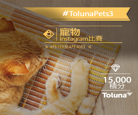 向Toluna香港展示您的寵物，贏取15,000積分著數